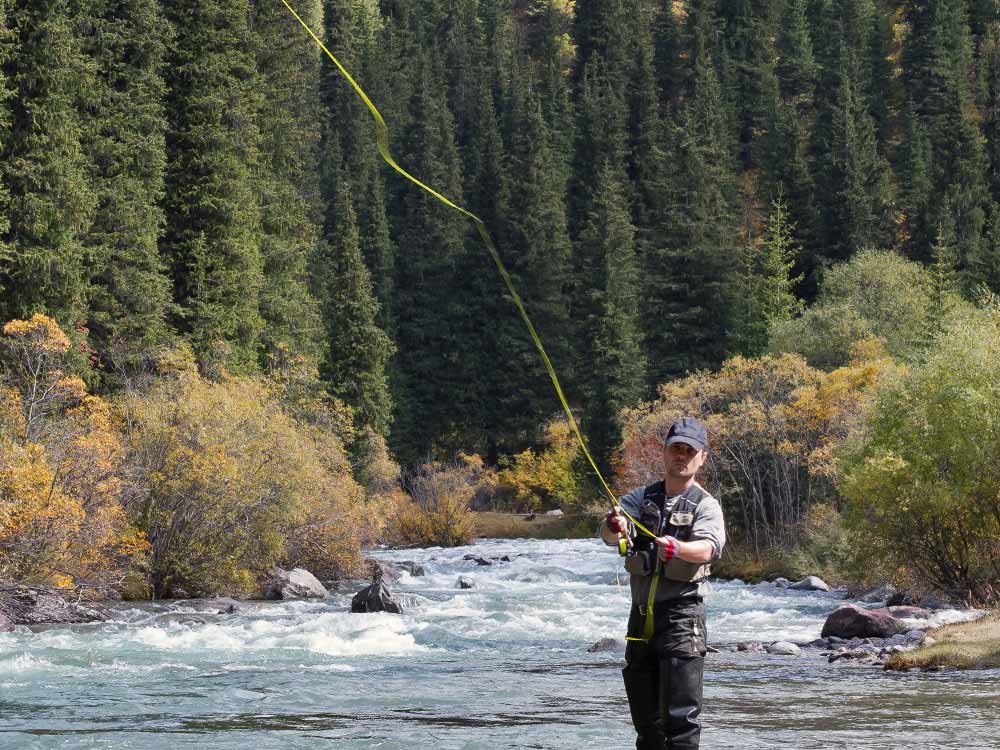 A fly fisherman casts a line into a mountain river in Ashe County, NC, bordered by a forest.
