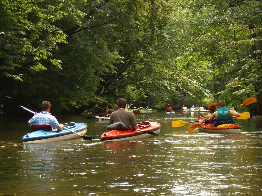 Several people kayak down a narrow river surrounded by dense green trees, a popular choice among things to do in Ashe County NC.